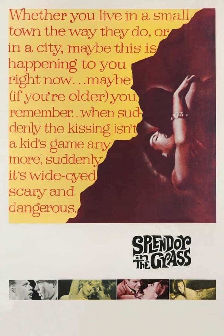 Poster for Splendor in the Grass